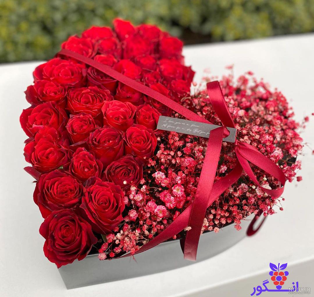 130 عکس گل🌺دانلود مجموعه عکس گل زیبا جدید با کیفیت بالا