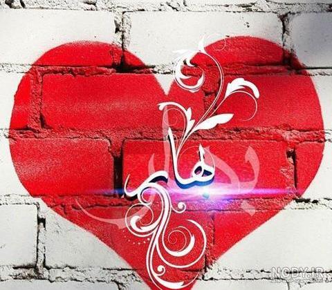 دانلود استیکر اسم زلیخا به زبان فارسی برای تلگرام – قونشو دانلود استیکر اسم زلیخا به زبان فارسی برای تلگرام – قونشو
