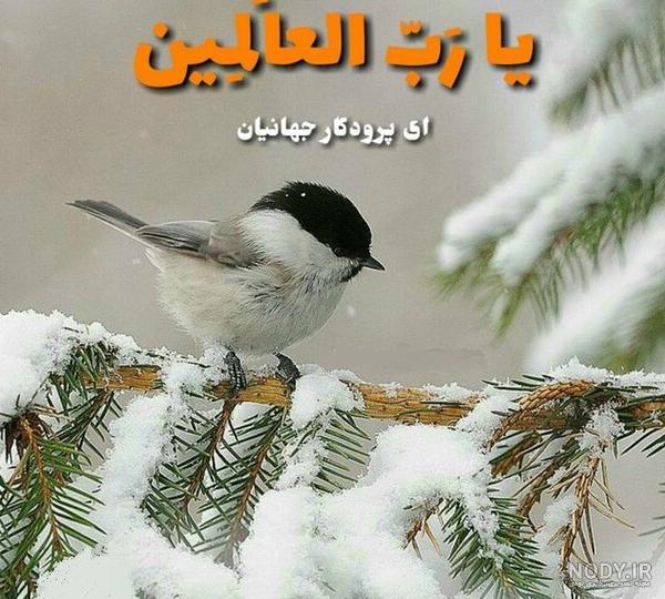 ذکر روز جمعه ذکر روز جمعه