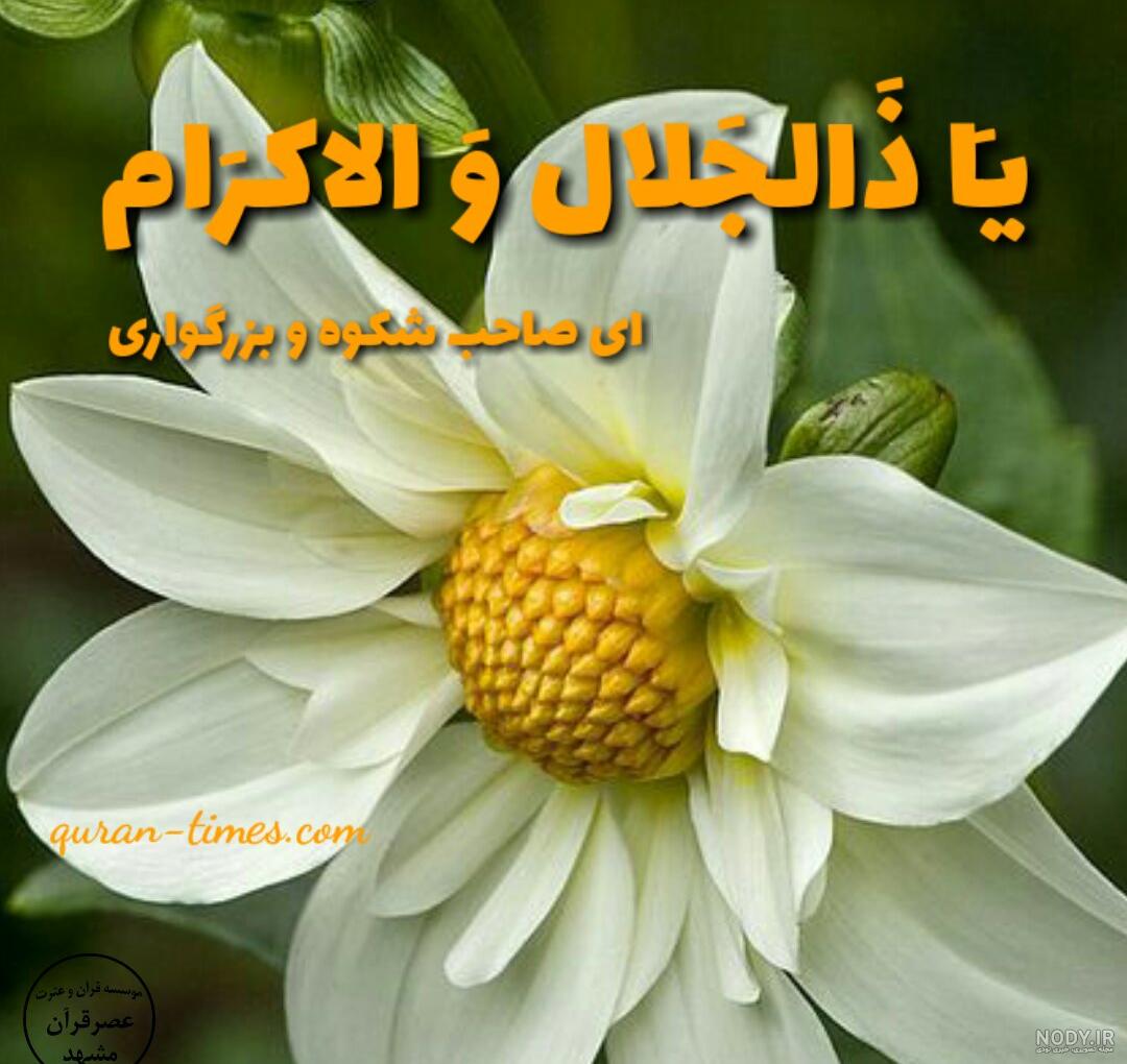 عکس ذکر روز دوشنبه با معنی ❤️ [ بهترین تصاویر ]