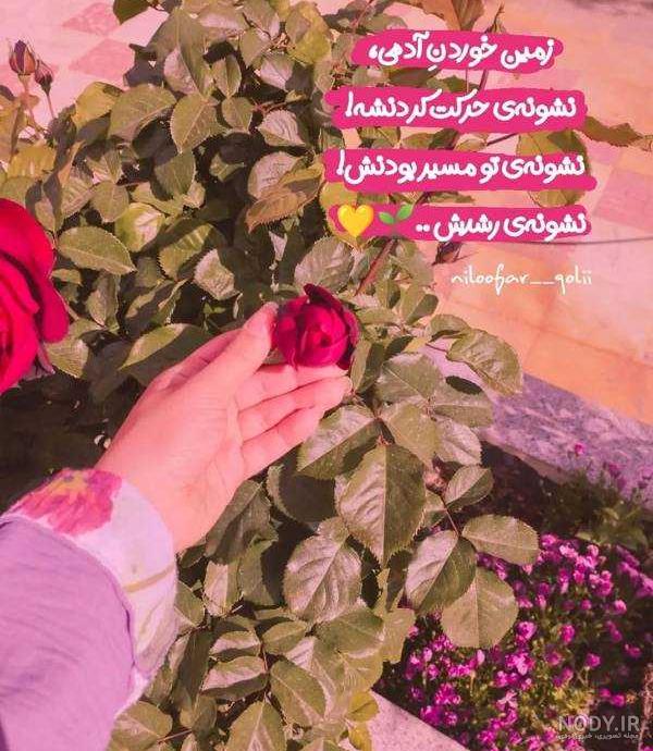 عکس پروفایل فیک دخترونه | عکس پروفایل دخترانه فیک، عکس فیک دخترانه برای پروفایل عکس پروفایل فیک دخترونه | عکس پروفایل دخترانه فیک، عکس فیک دخترانه برای پروفایل
