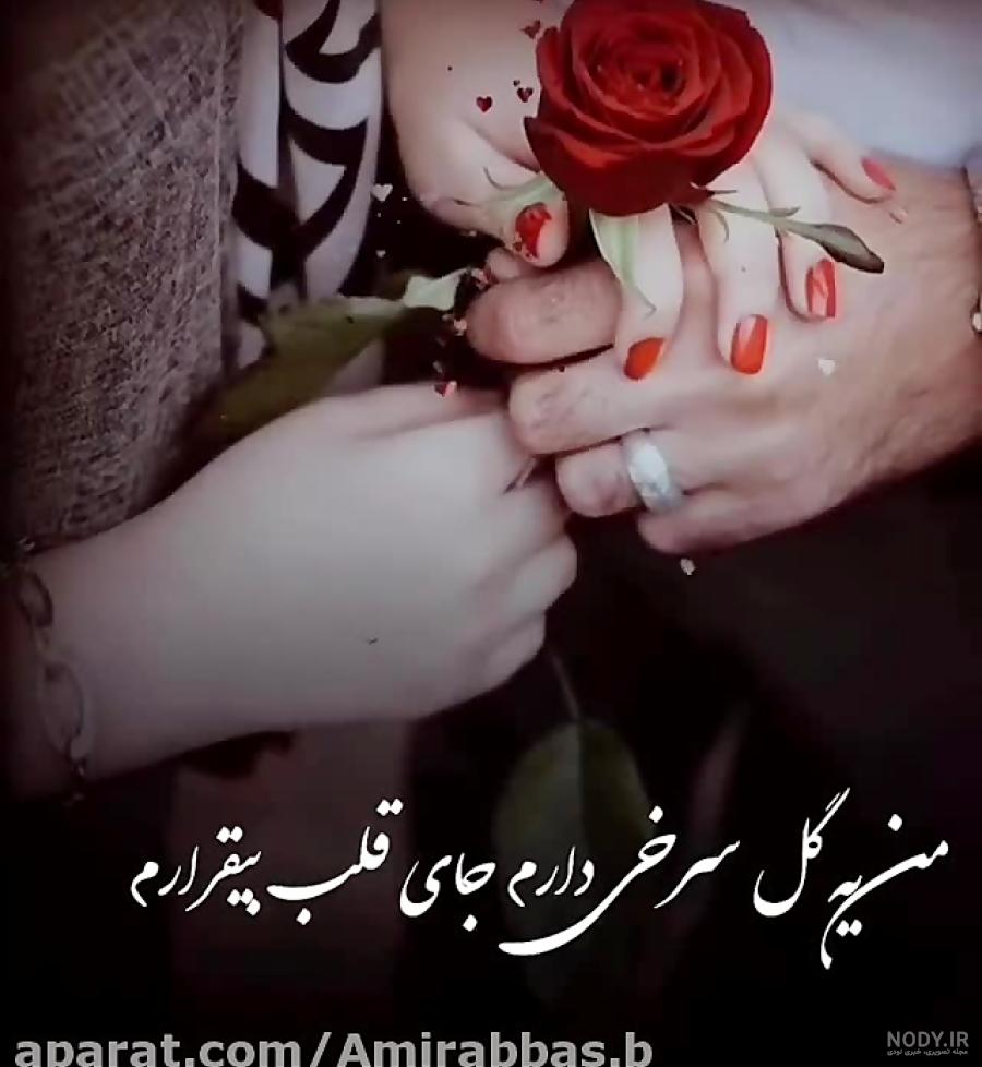 عکس پروفایل گل | مجموعه 120 عکس گل زیبا و با کیفیت HD - دلبرانه عکس پروفایل گل | مجموعه 120 عکس گل زیبا و با کیفیت HD - دلبرانه