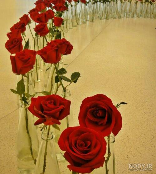 عکس چهار دختر برای پروفایل گروه