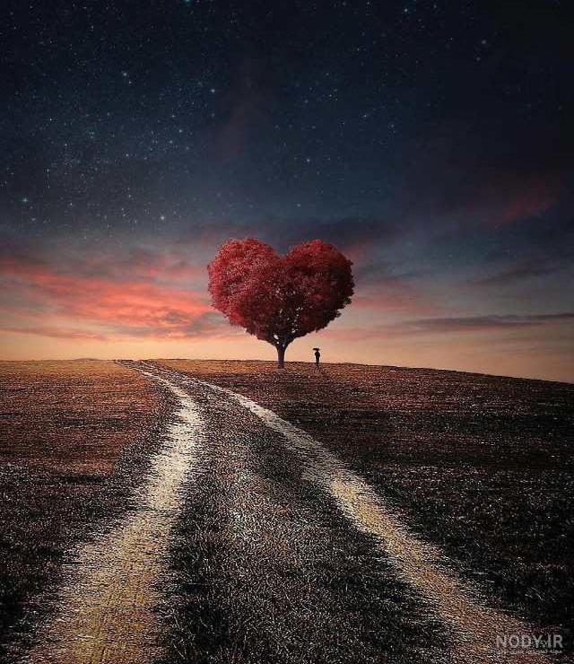 متن پیام شب بخیر عاشقانه به دوست دختر، عشق و همسر با جملات عاشقانه زیبا متن پیام شب بخیر عاشقانه به دوست دختر، عشق و همسر با جملات عاشقانه زیبا