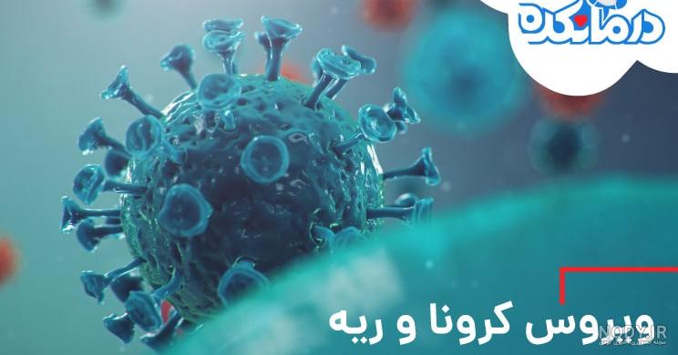 گالری تصاویر سی تی اسکن ریه در بیماران مبتلا به کرونا ویروس کووید-19 |  ویترین مد