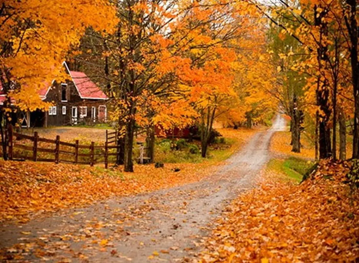 عکس خفن عکس از طبیعت پاییزی ایران