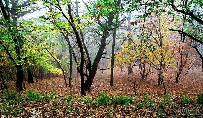 عکس خفن عکس از طبیعت پاییزی ایران