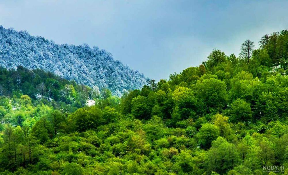 عکس شمال واقعی شب