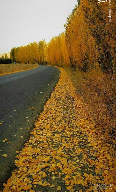 عکس خفن عکس از طبیعت پاییزی ایران