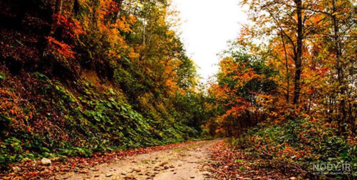 عکس خفن عکس از طبیعت پاییزی ایران