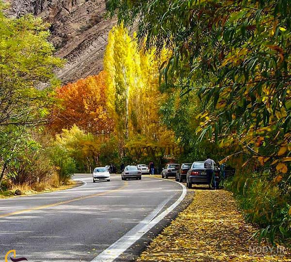 عکس برگ پاییزی با کیفیت بالا