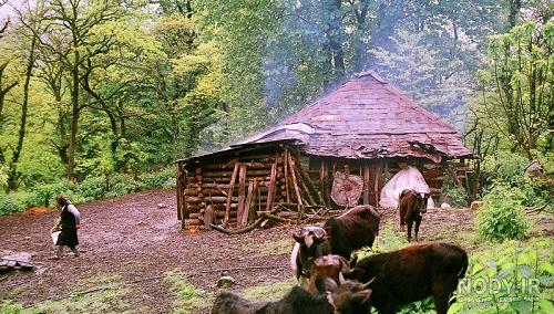 عکس شمال واقعی شب