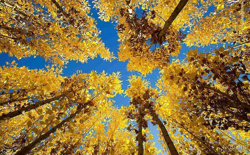 عکس خفن عکس از طبیعت پاییزی ایران