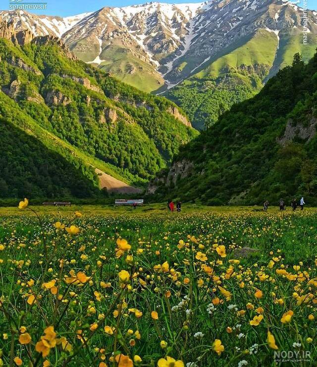 عکس شمال واقعی شب