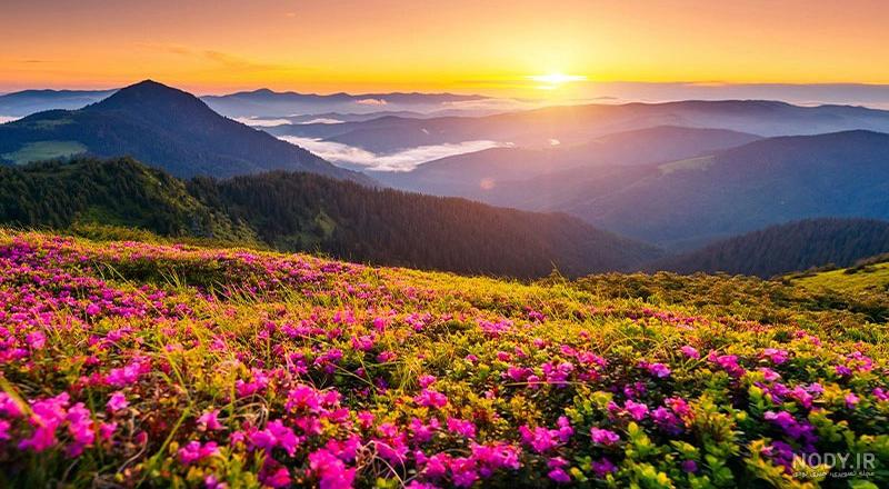 عکس خفن عکس طبیعت واقعی شمال