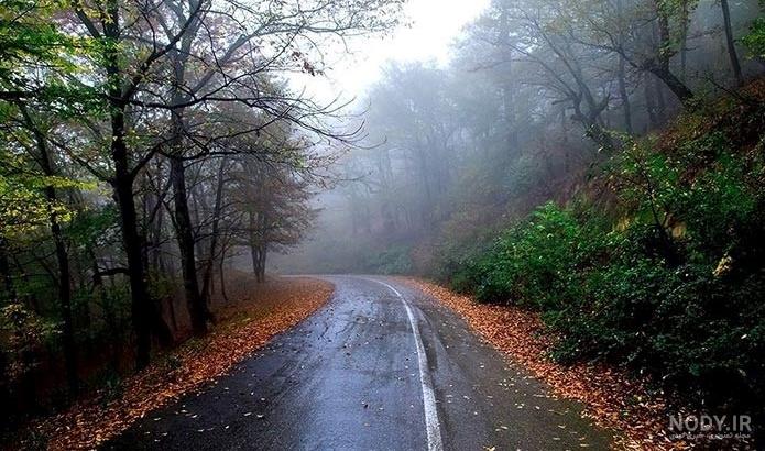 عکس برگ پاییزی با کیفیت بالا