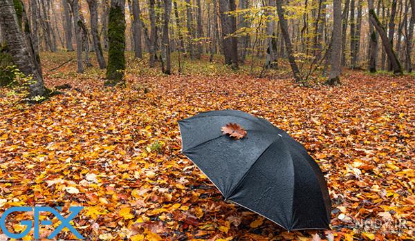 عکس خفن عکس از طبیعت پاییزی ایران