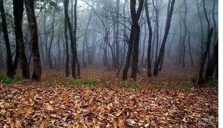 عکس خفن عکس از طبیعت پاییزی ایران