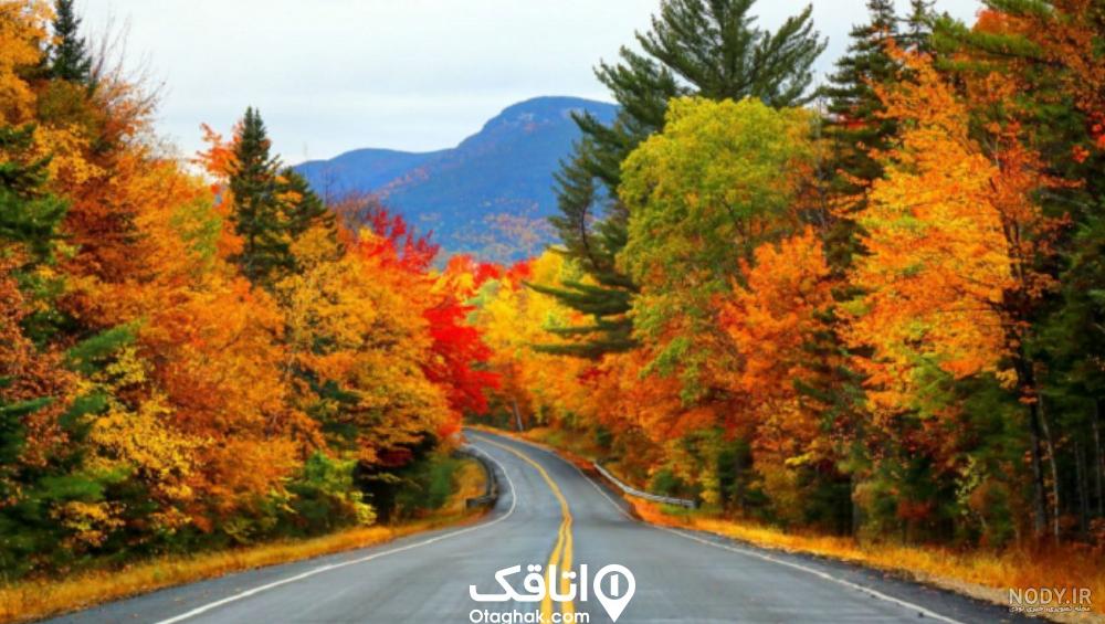 عکس برگ پاییزی با کیفیت بالا