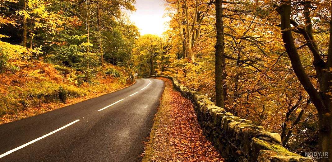 عکس برگ پاییزی با کیفیت بالا