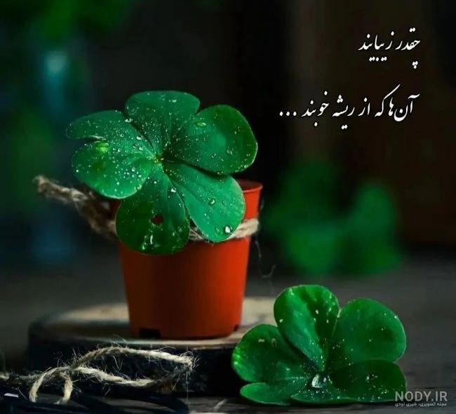 عکس طعنه به رفیق