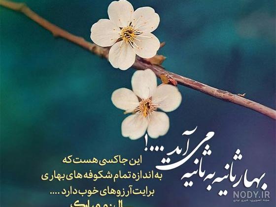 تبریک سال نو به خاله - کلیپ تبریک عید نوروز