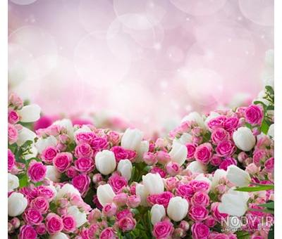 عکس سفید صورتی