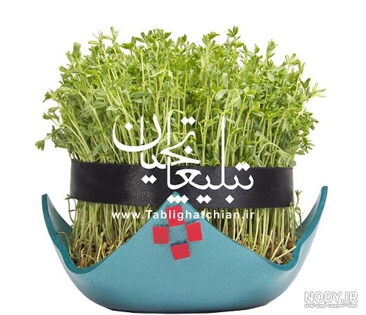 عکس عید سبزه