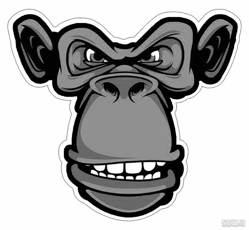 کاربرد عجیب زشت‌ترین دماغ جهان؛ بینی میمون‌های پروبوسیس ابزار جذابیت جنسی  آن‌هاست!