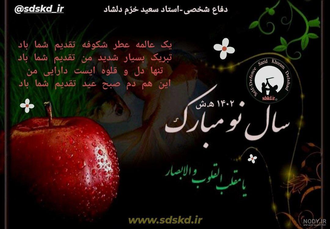 یک عکس برای سال نو