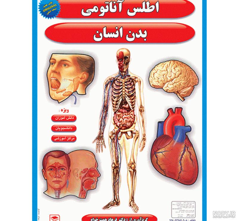 آناتومی دستگاه تناسلی زنان – دکتر ویدا یوسفیان
