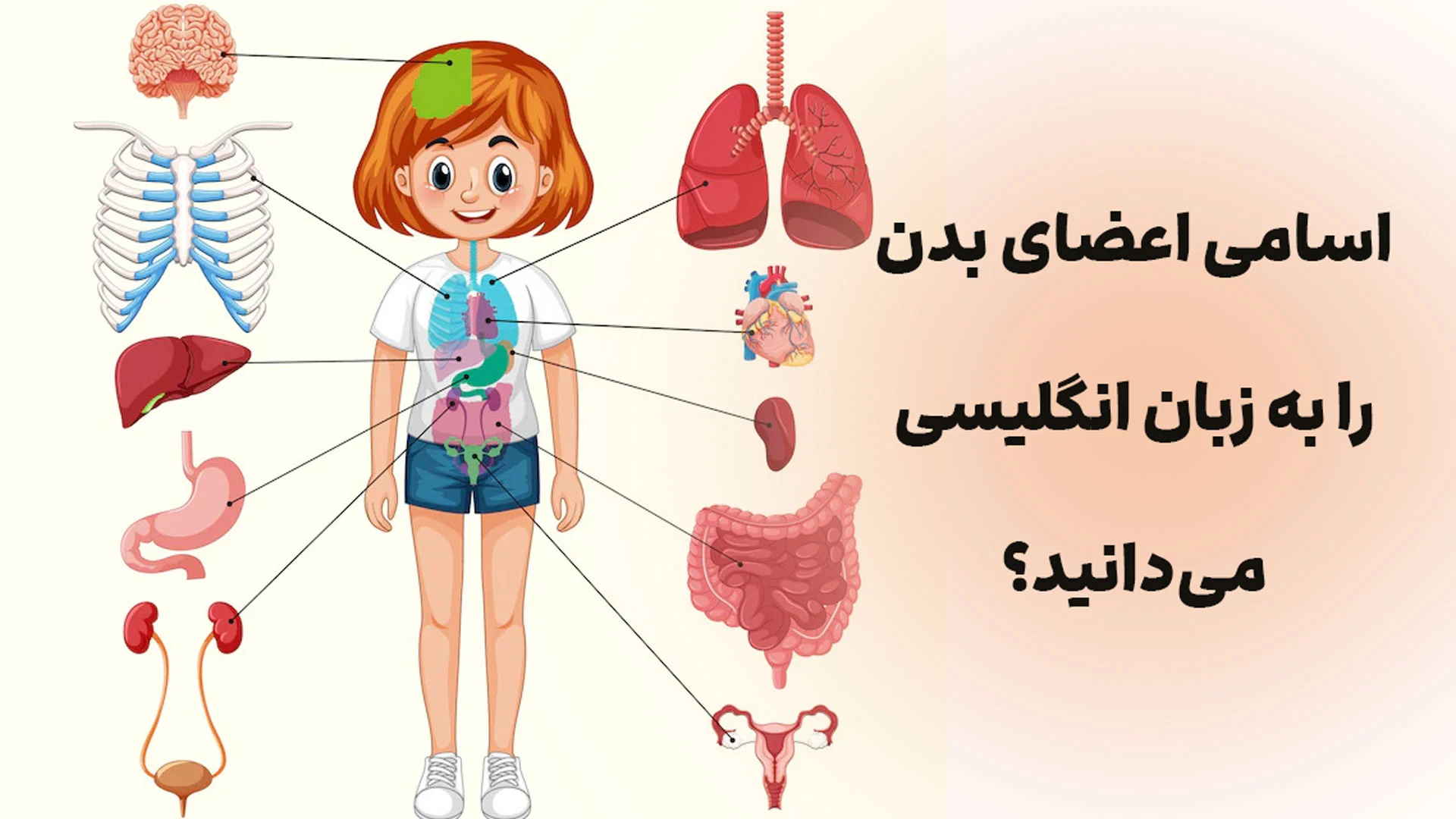 عکس اعضای بدن زن با اسم ک