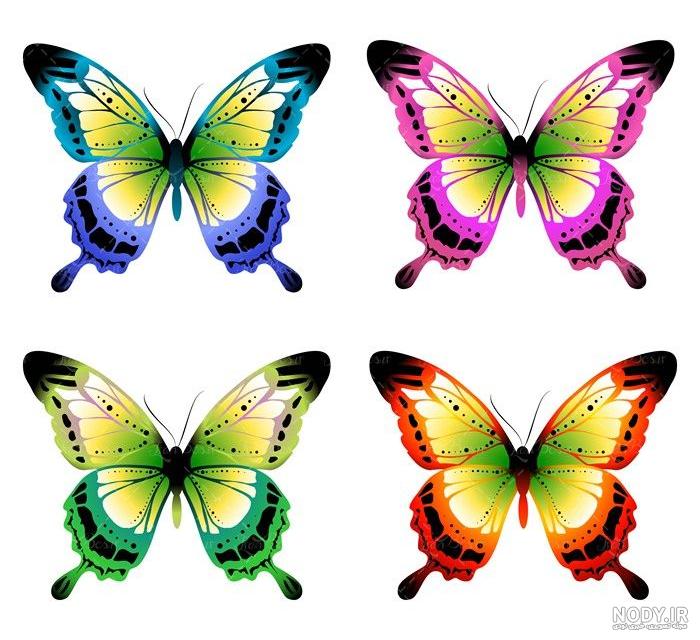 47 عکس پروانه🦋دانلود عکس پروانه واقعی و زیبا✔️چاپ✔️ادیت