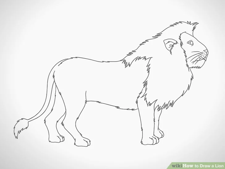 آموزش نقاشی شیر – نقاشیار آموزش نقاشی شیر – نقاشیار