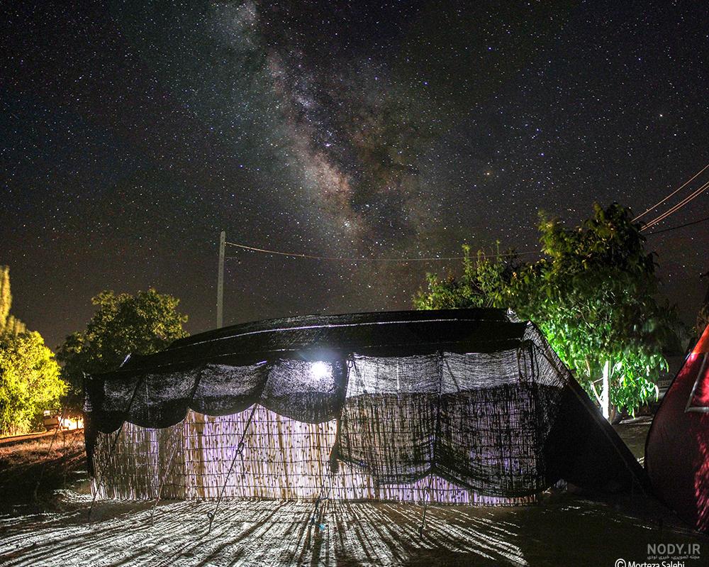 تصویر جنگل در تاریکی شب | تیک طرح مرجع گرافیک ایران تصویر جنگل در تاریکی شب | تیک طرح مرجع گرافیک ایران