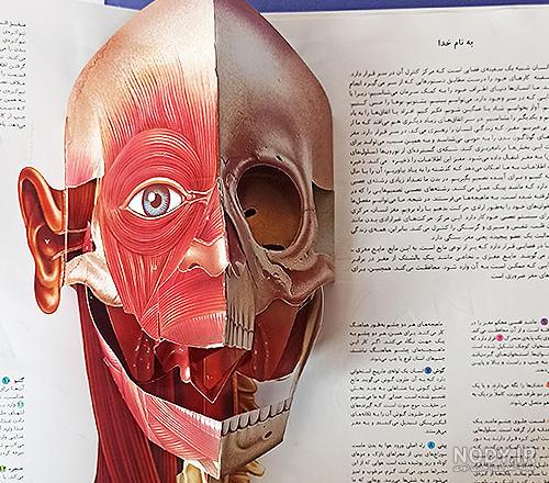 دانلود عکس سه بعدی آدمک پشت دیوار | تیک طرح مرجع گرافیک ایران دانلود عکس سه بعدی آدمک پشت دیوار | تیک طرح مرجع گرافیک ایران