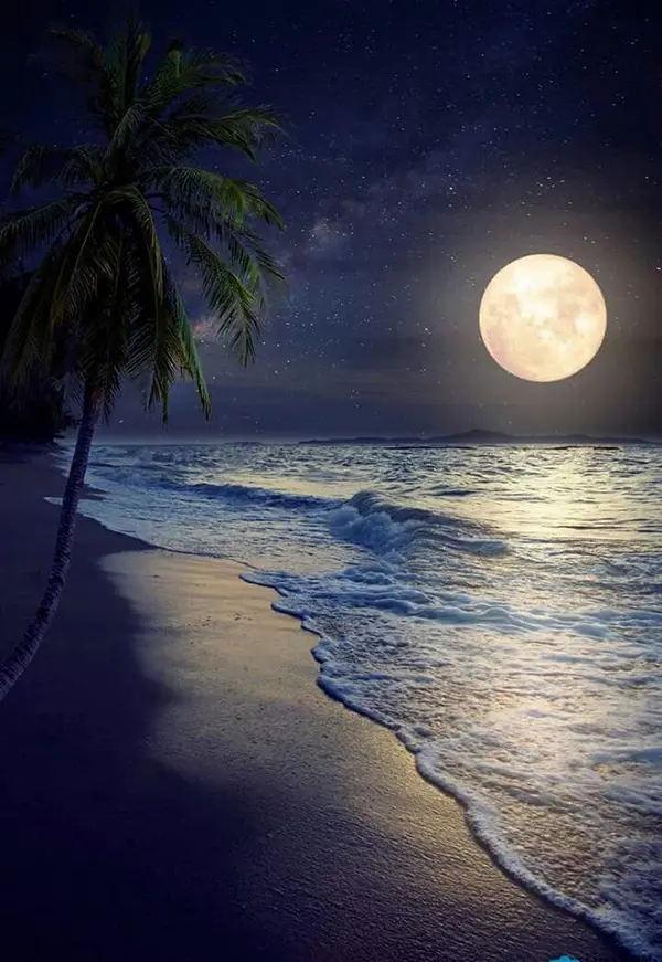 عکس آرامش شب
