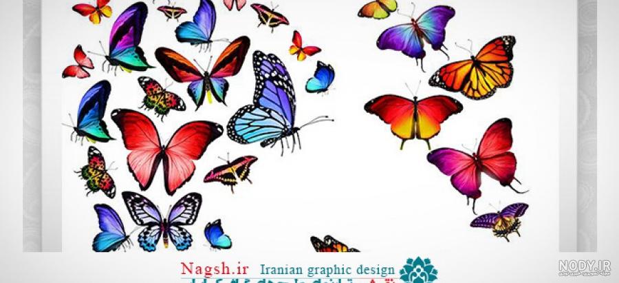 عکس برش خورده سه بعدی پروانه نارنجی