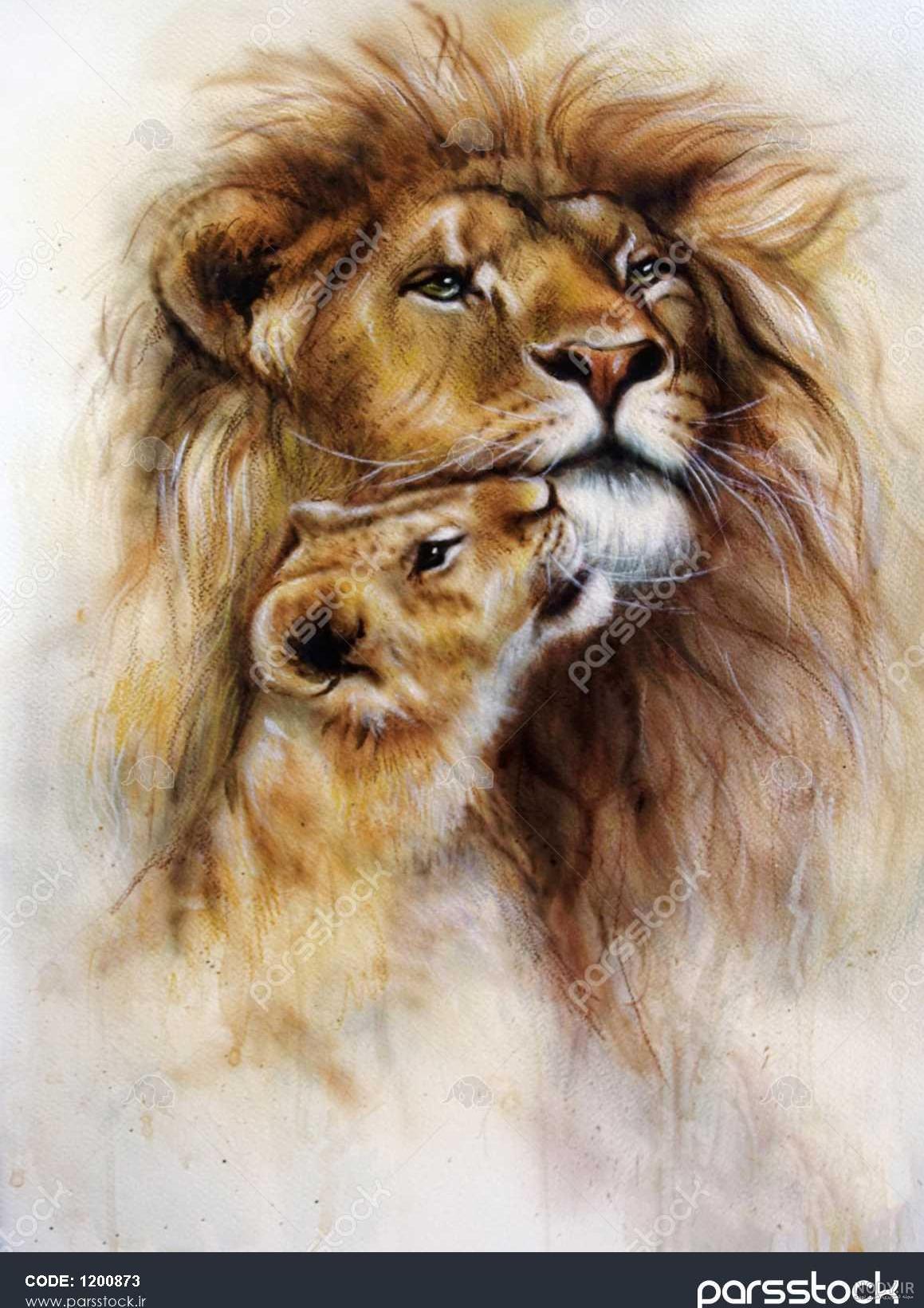 عکس زیبا از بچه شیر