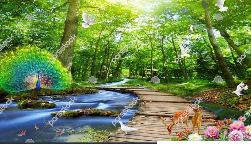 عکس سه بعدی طبیعت متحرک - عکس نودی