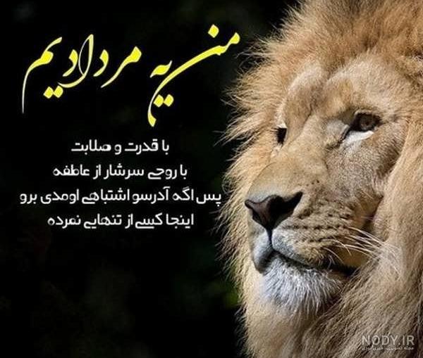 عکس شیر زیبا