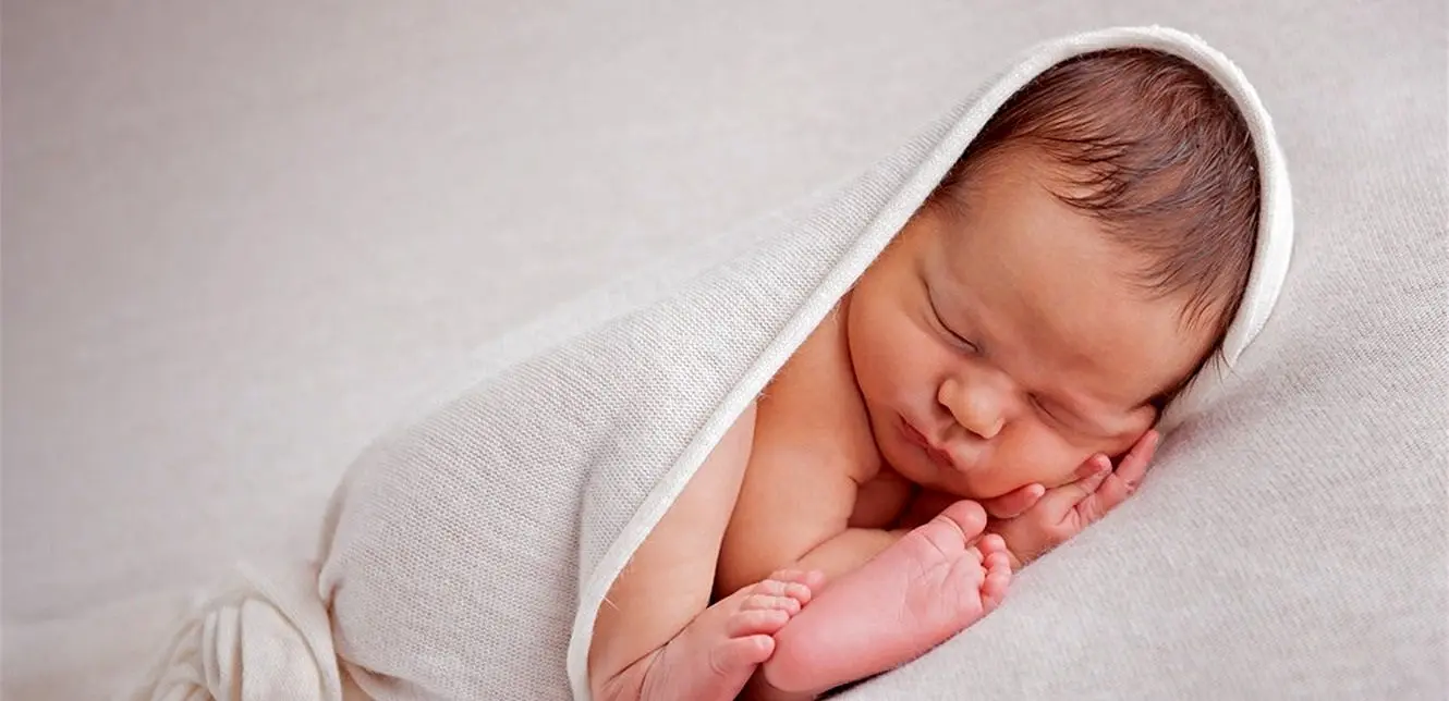 عکس شیر طلا - عکس نودی
