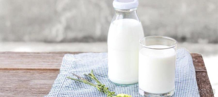 عکس شیر و لیوان