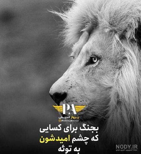 عکس ماشین شوتی با متن عکس ماشین شوتی با متن