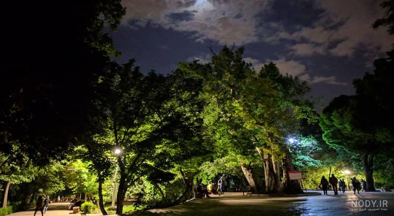 عکس پارک در شب عکس پارک در شب