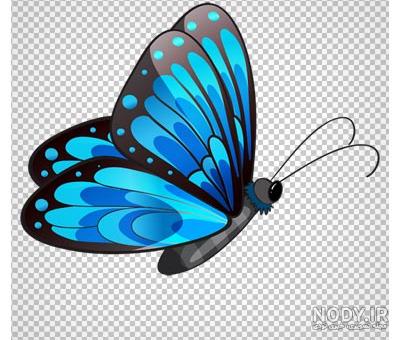 فروش پروانه برجسته سه بعدی