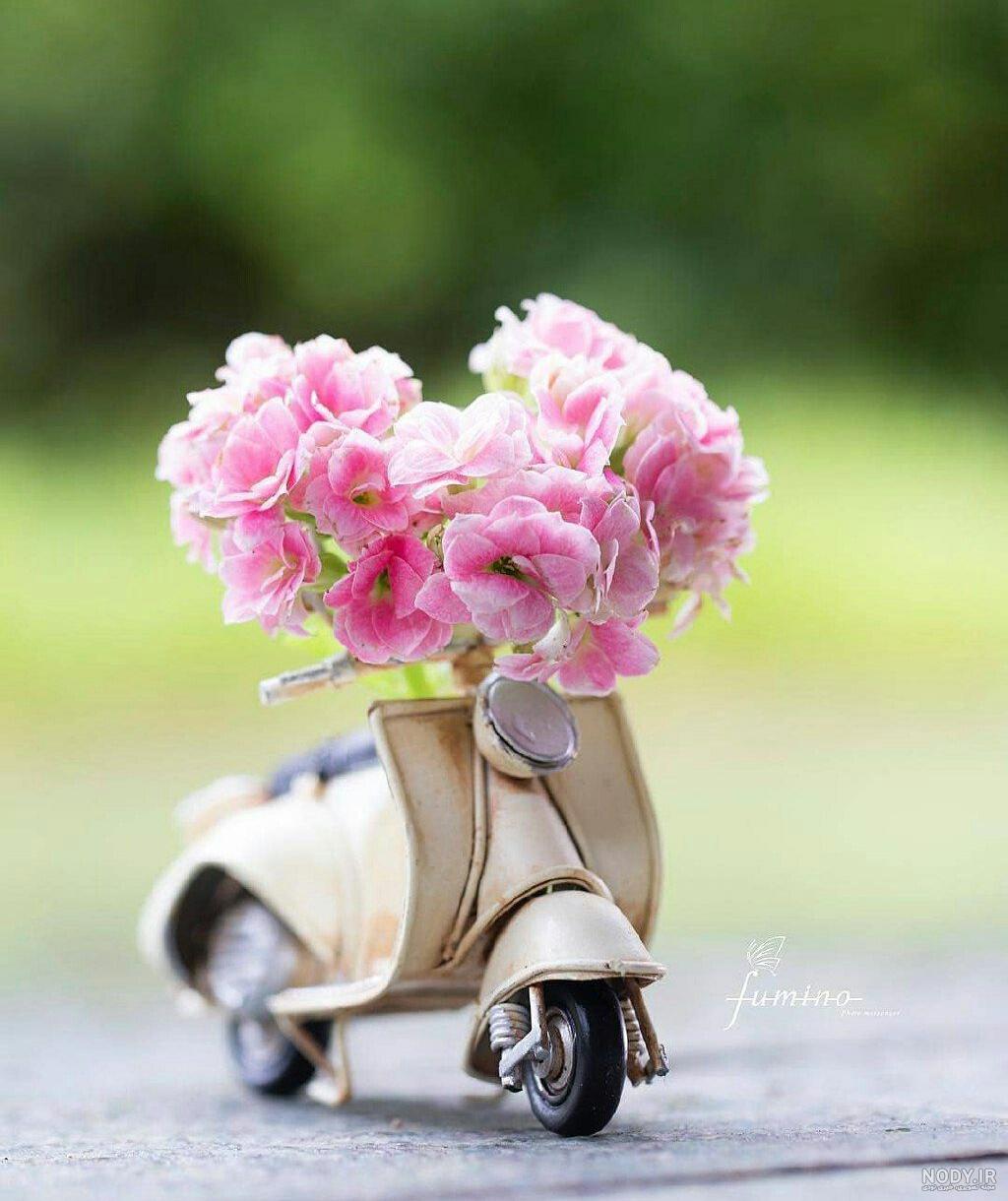 صبح چهارشنبه بخیر عشقم