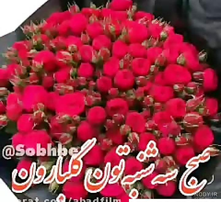 عکس خفن عکس و متن صبح بخیر روز یکشنبه