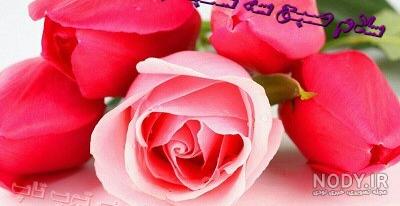 alireza abbasi on LinkedIn: سلام صبح سه‌شنبه شما بخیر امروز از خدا برای همه  شما سه چیز میخوام اول…