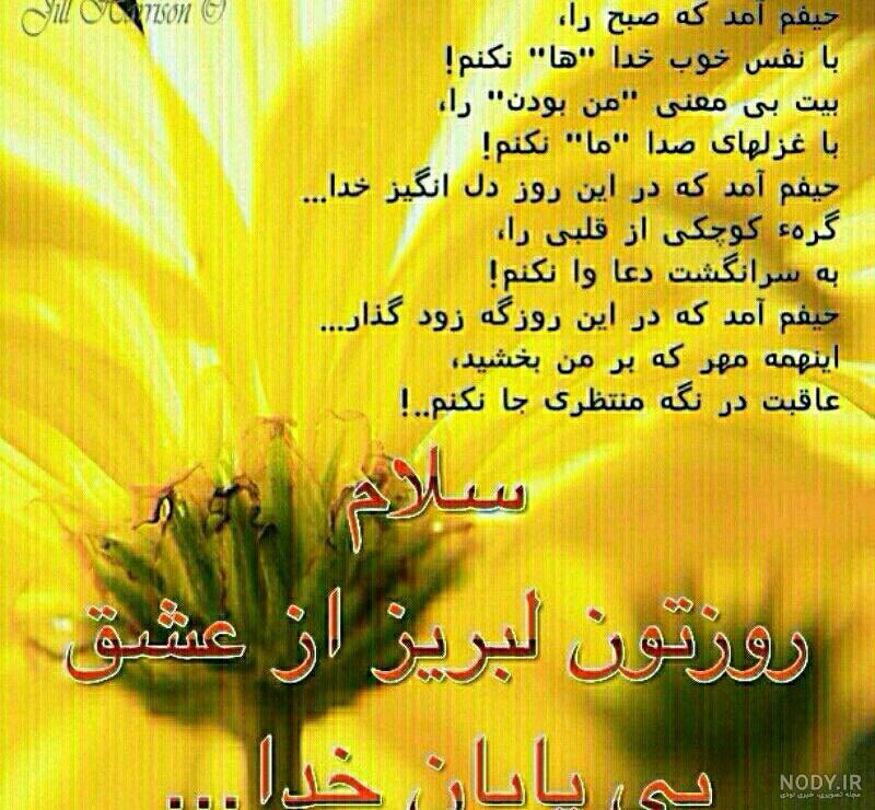 110 عکس صبح بخیر زیبا | عکس نوشته و متن صبح بخیر زیبا و با کلاس 110 عکس صبح بخیر زیبا | عکس نوشته و متن صبح بخیر زیبا و با کلاس